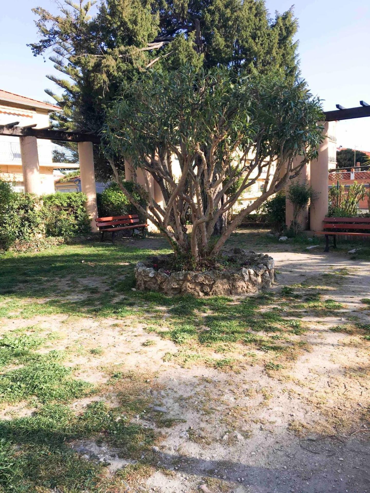 Charming Studio In The Heart Of מנטון מראה חיצוני תמונה